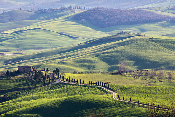 A road in Tuscany