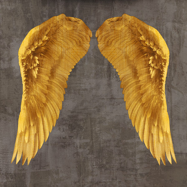 Angel Wings I