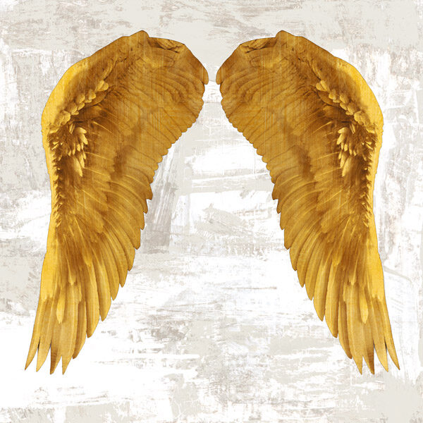 Angel Wings IV