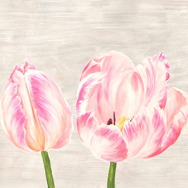 Classic Tulips I