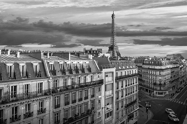 Morning in Paris (BW)