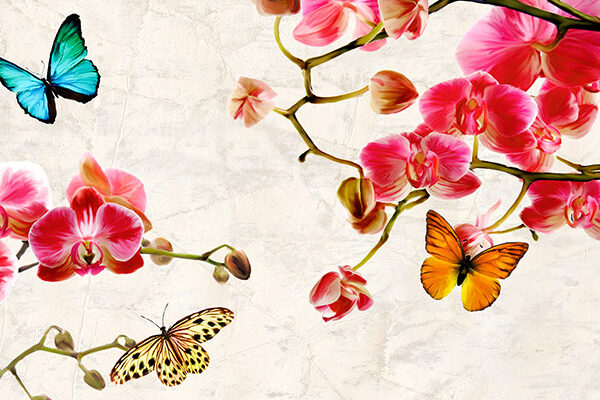 Orchids & Butterflies