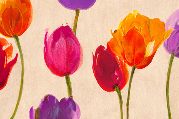 Tulips & Colors