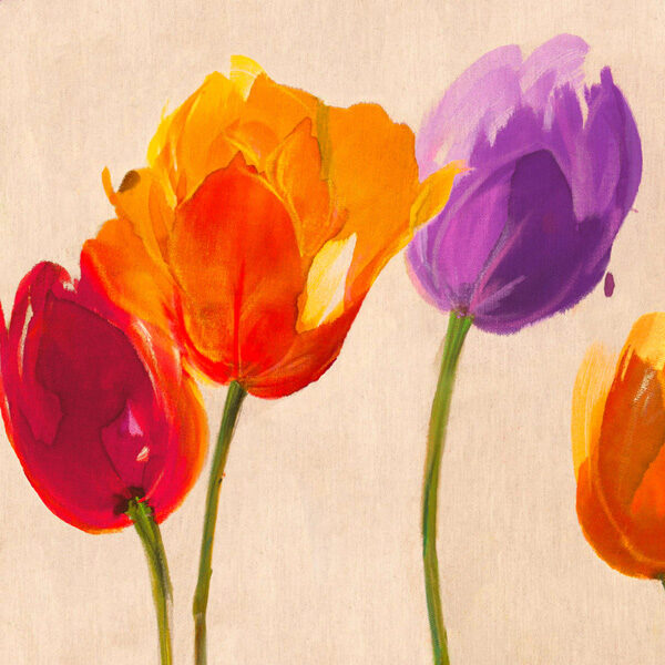 Tulips & Colors (detail)