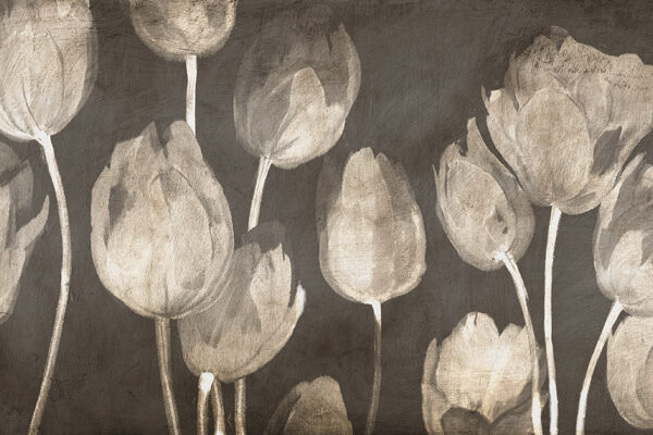 Washed Tulips