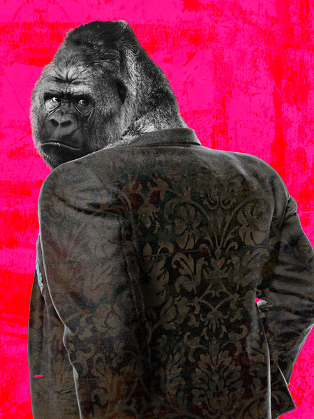 Ape in a Suit (Pop Version)