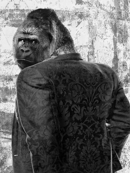 Ape in a Suit