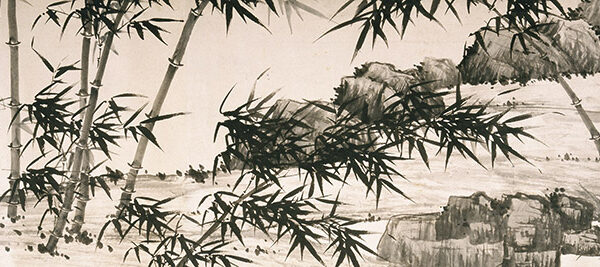 Bamboo under Spring Rain