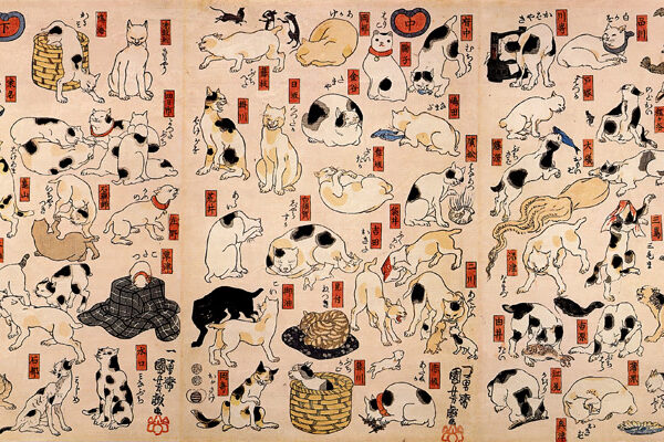 Cats suggested as the fifty-three stations of the Tokaido