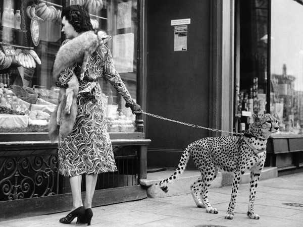 Elegant Woman with Cheetah