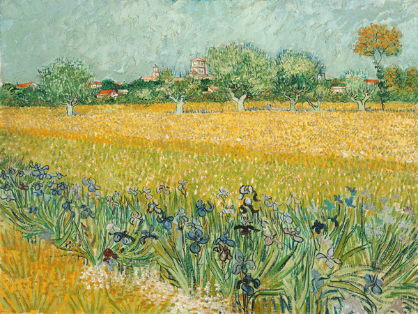 Field with Irises near Arles