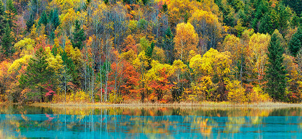 Lake and forest in autumn