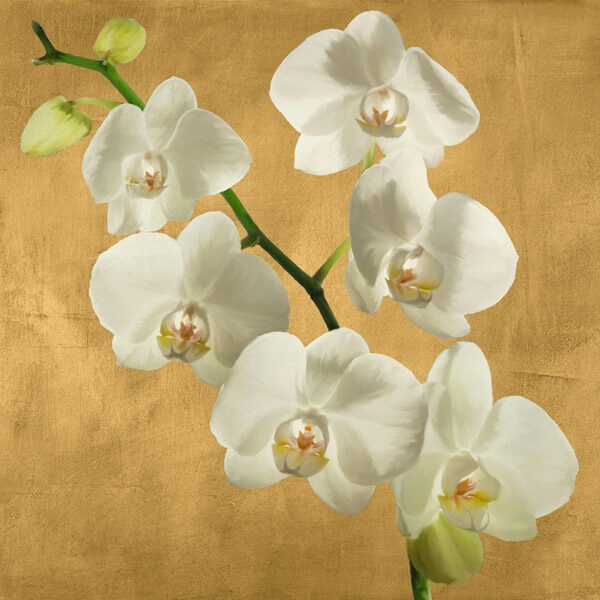 Orchids on a Golden Background I