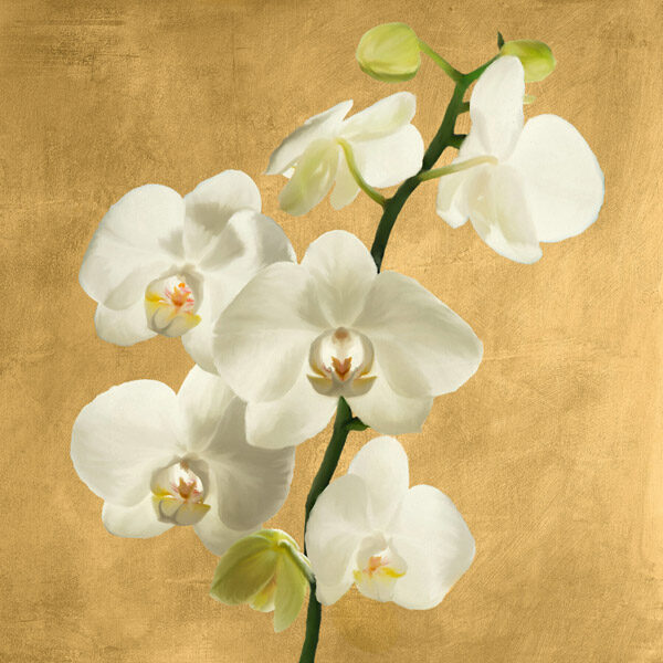Orchids on a Golden Background II