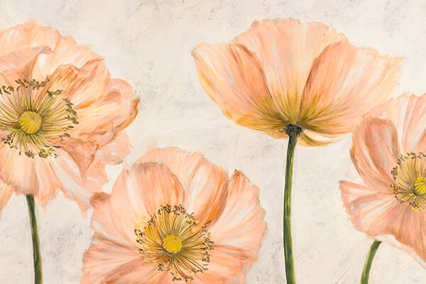 Poppies in Pink