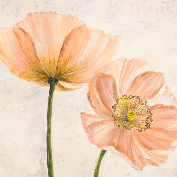 Poppies in Pink II