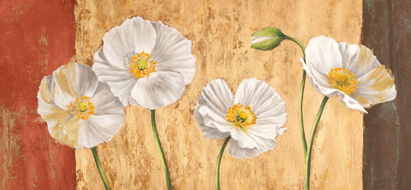Poppies on Smooth Background