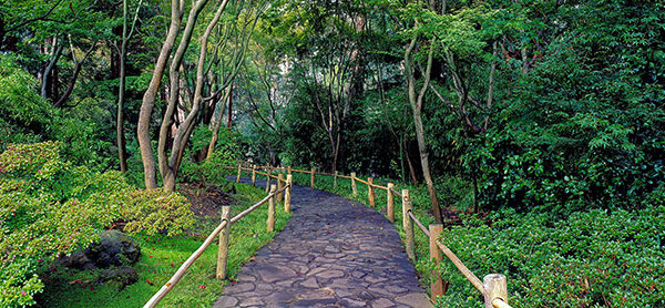 Tea Garden Walkway