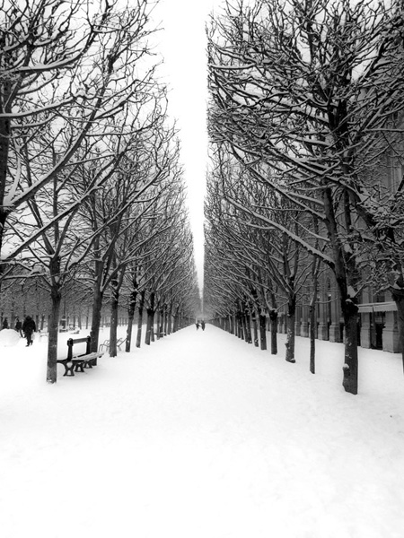 The Tuileries Garden under the snow