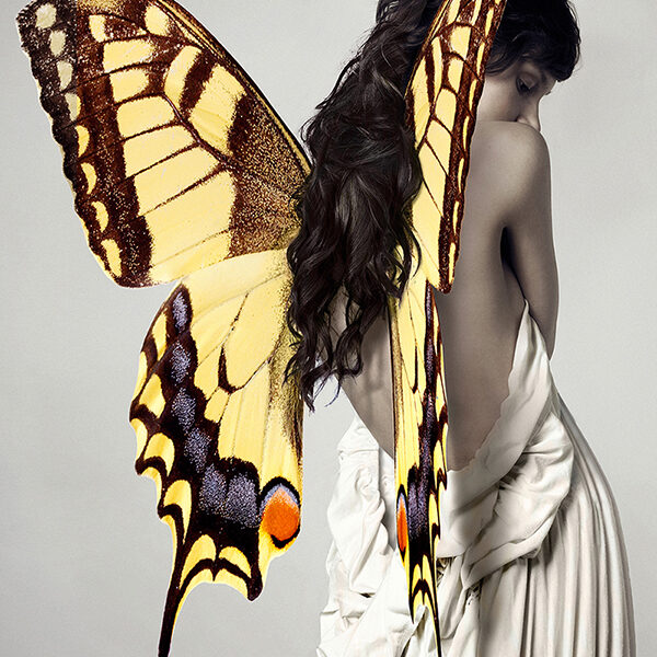 Winged Beauty #3