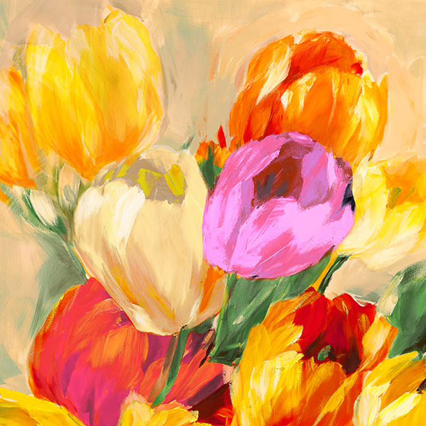 Colorful Tulips I