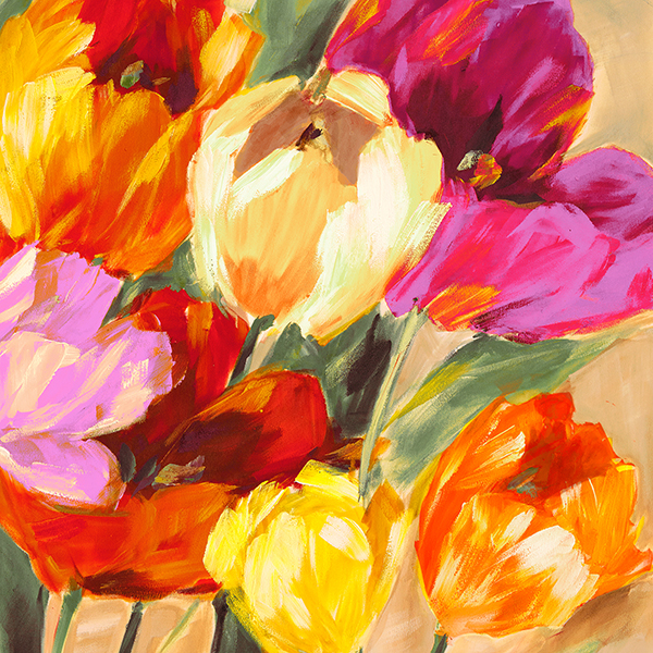 Colorful Tulips II