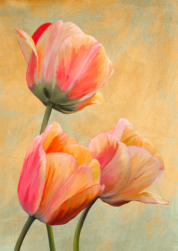 Golden Tulips I