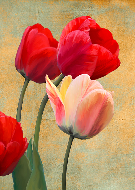 Ruby Tulips
